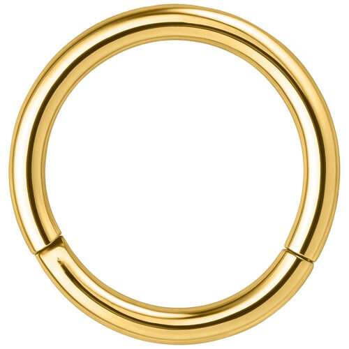 Segmentring à Charnière