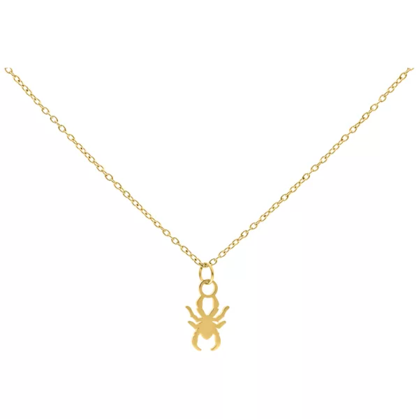 Little Spider Chain