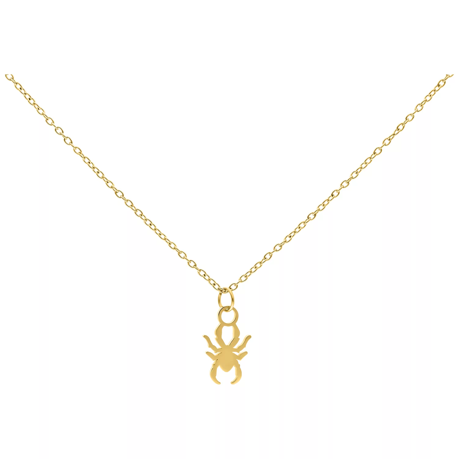 Little Spider Chain