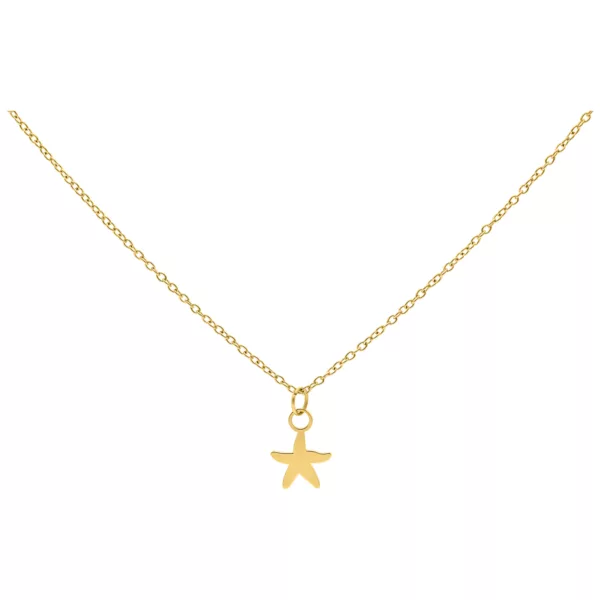 Little Starfish Chain