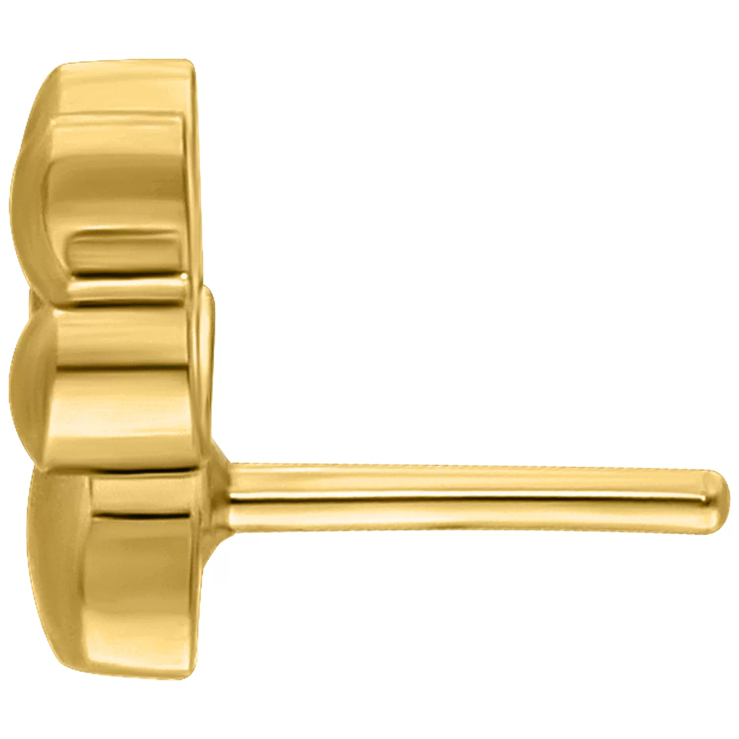 Goldener Pfotenaufsatz aus Titan auf weißem Hintergrund