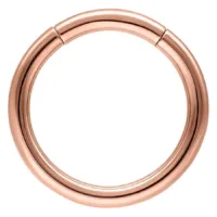 Rosegold Segment Ring