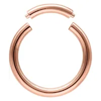 Rosegold Segment Ring