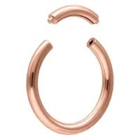 Rosegold Segment Ring