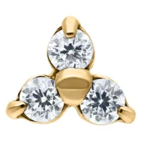 Trinity Dermal Attachment Trinity Dermal Attachment