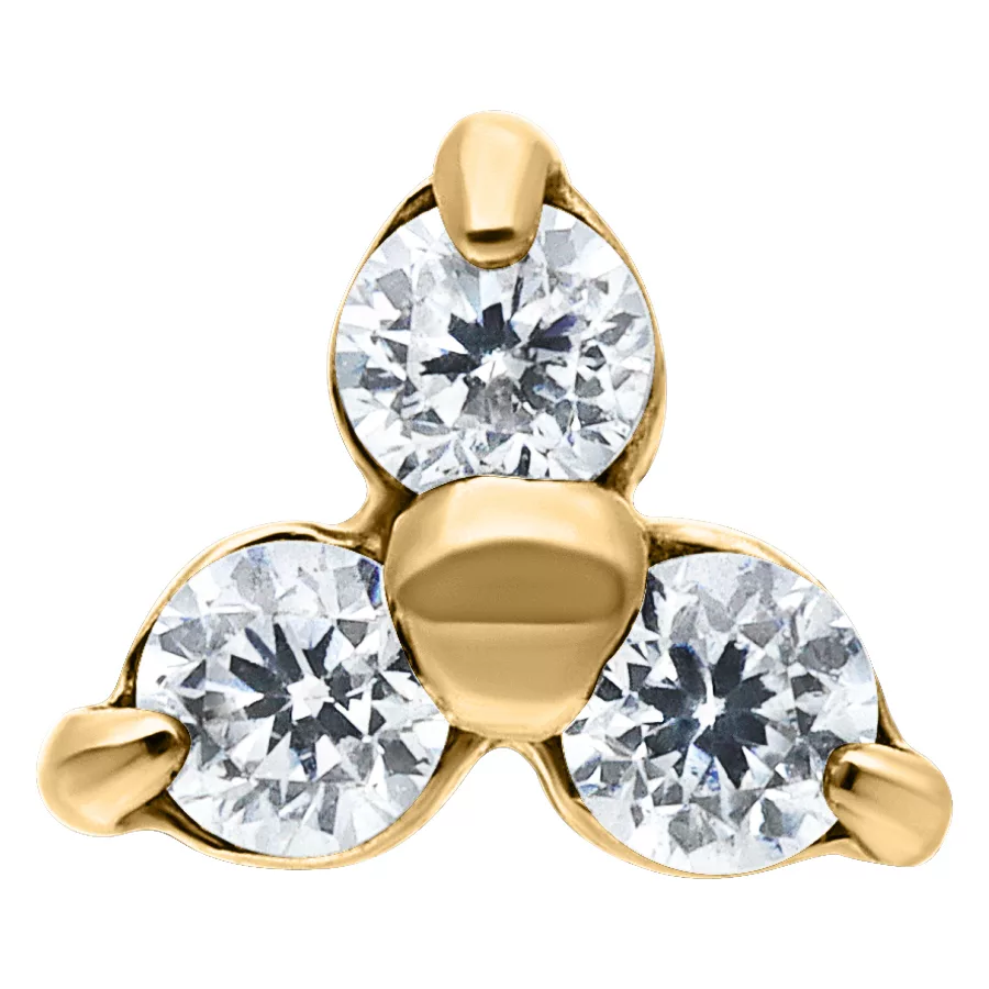 Trinity Dermal Attachment Trinity Dermal Attachment