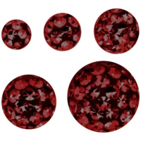 Sealed Multi Jewelled