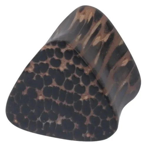 Triangulum Wood Plug (Palm)