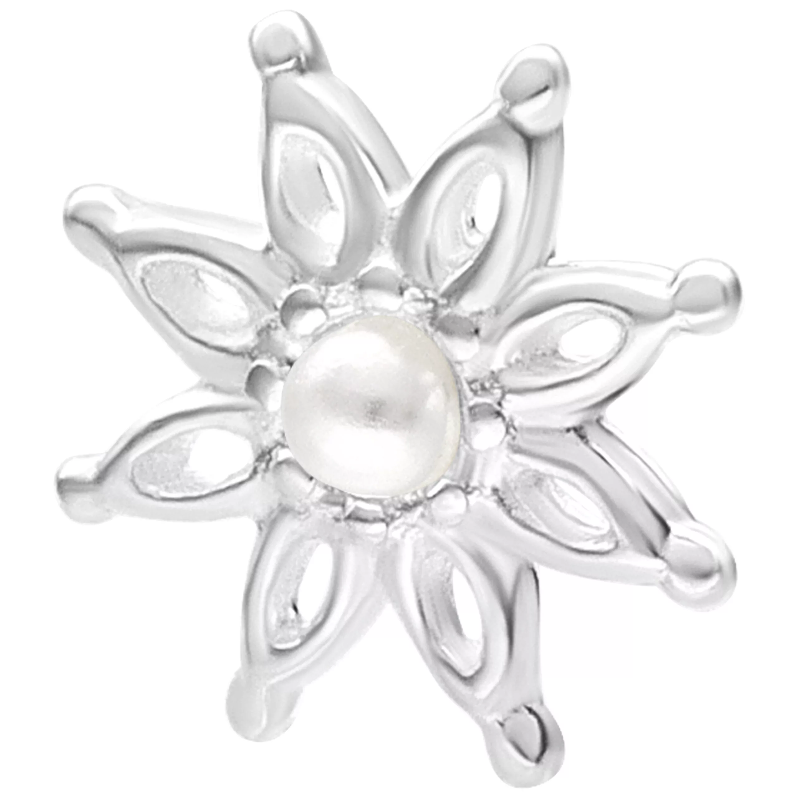 Push Fit Bloom Attachment Push Fit Bloom Attachment