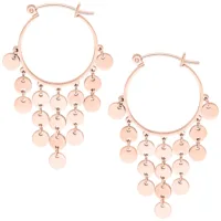 Dangling Plate Hoops Dangling Plate Hoops