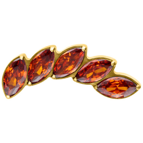 Aphrodite Attachment for Internally Threaded