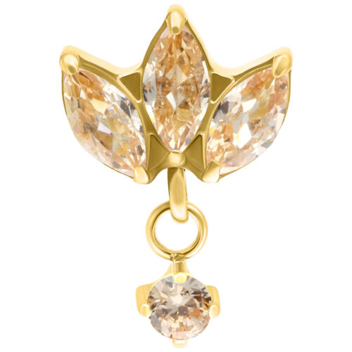 Soraya Attachment for Internally Threaded