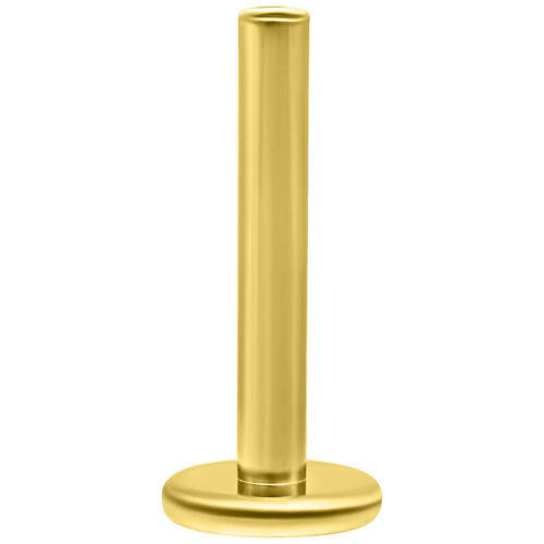 Wildcat® - 14K Perfect Fit Labret