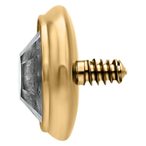 Triple Piercing Crystal Head