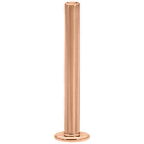 Prong Set Attachment for Hollow Labret Stud