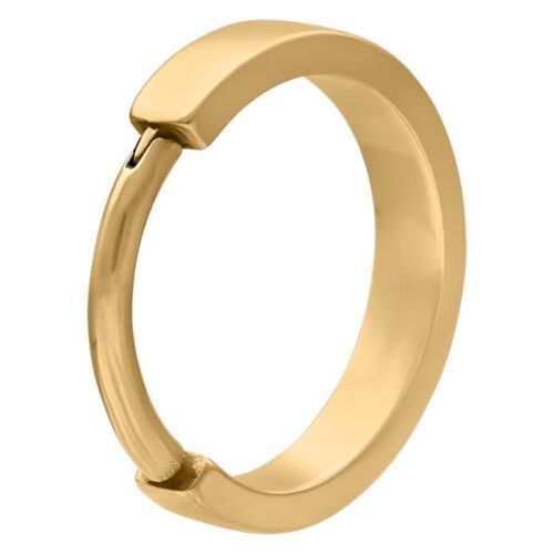 Goldener Clicker-Ring, 22 mm Innendurchmesser, auf weißem Hintergrund