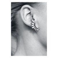 Crystal Statement Earrings Crystal Statement Earrings