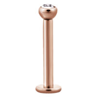 Steel Roseline - Crystal Basic Labret Steel Roseline - Crystal Basic Labret