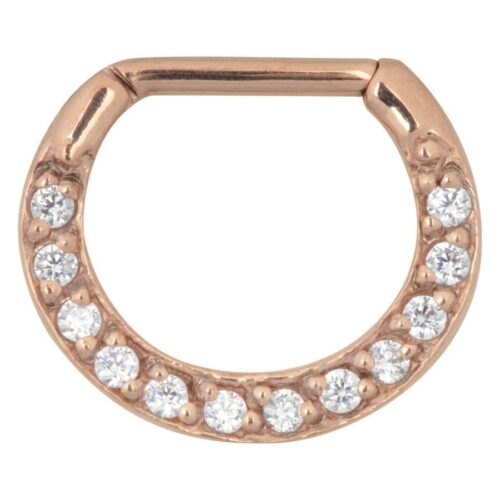 Surgical Steel Crystal Septum Clicker