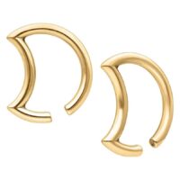 Moon Ear Weights