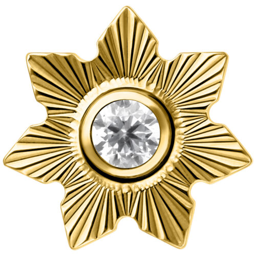 Push Fit Riffled Winter Jasmine Attachment - Golden Metal