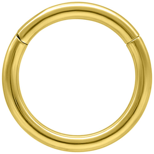 14K Gold Hinged Ring