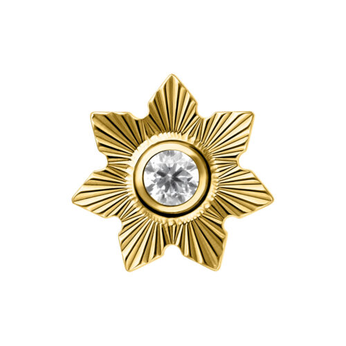 Push Fit Riffled Jasmine Attachment - Golden Metal