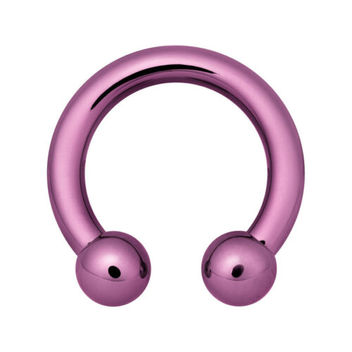 Circular Barbell Anodised Violett
